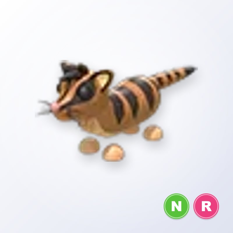 Banded Palm Civet NR | Adopt Me