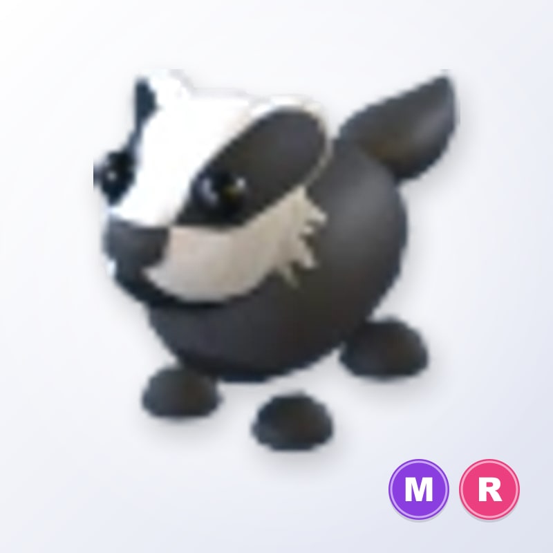 Badger MR | Adopt Me
