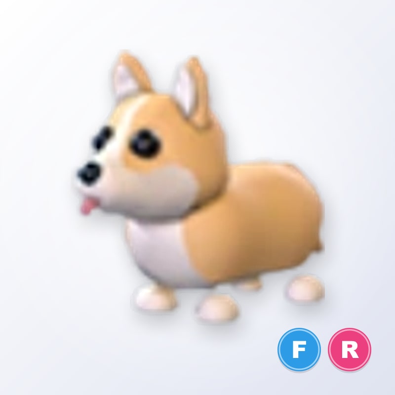 Corgi FR | Adopt Me