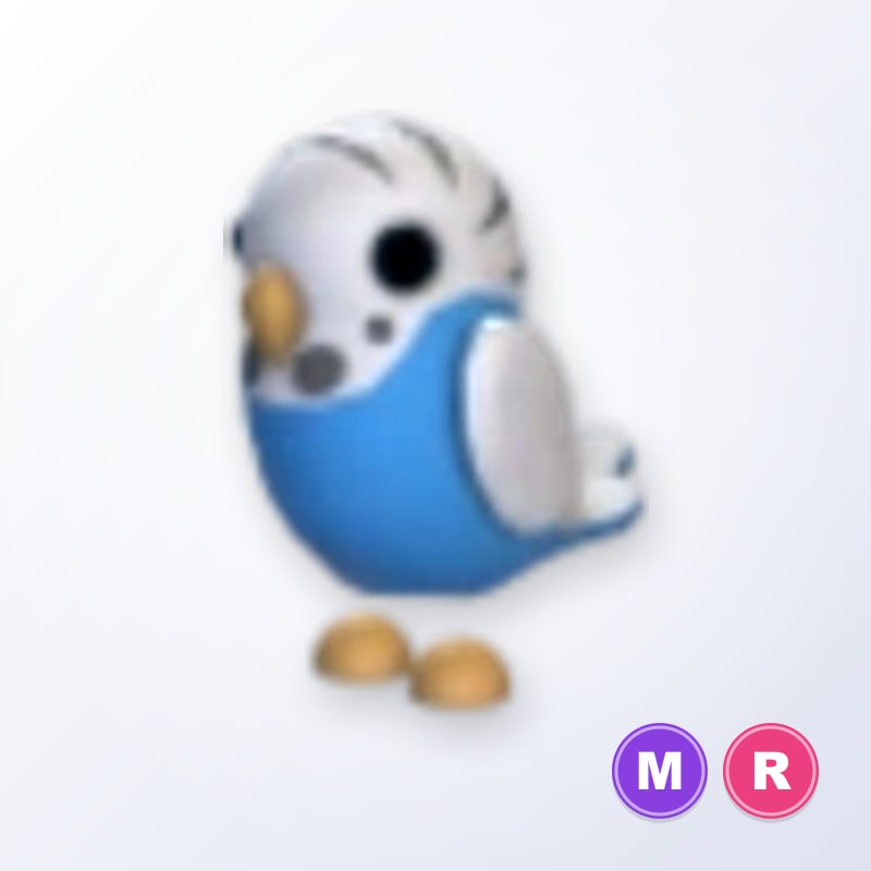Parakeet MR | Adopt Me