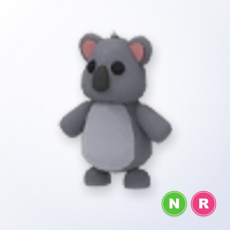 Koala NR | Adopt Me
