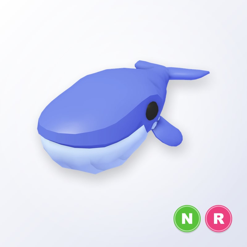 Blue Whale NR | Adopt Me