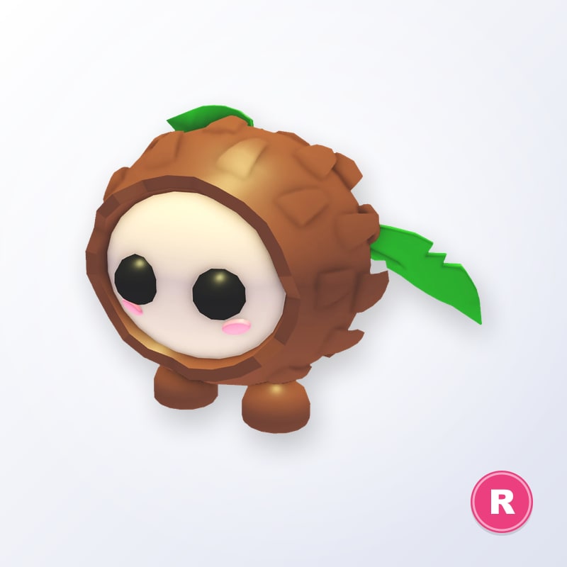 Coconut Friend R | Adopt Me