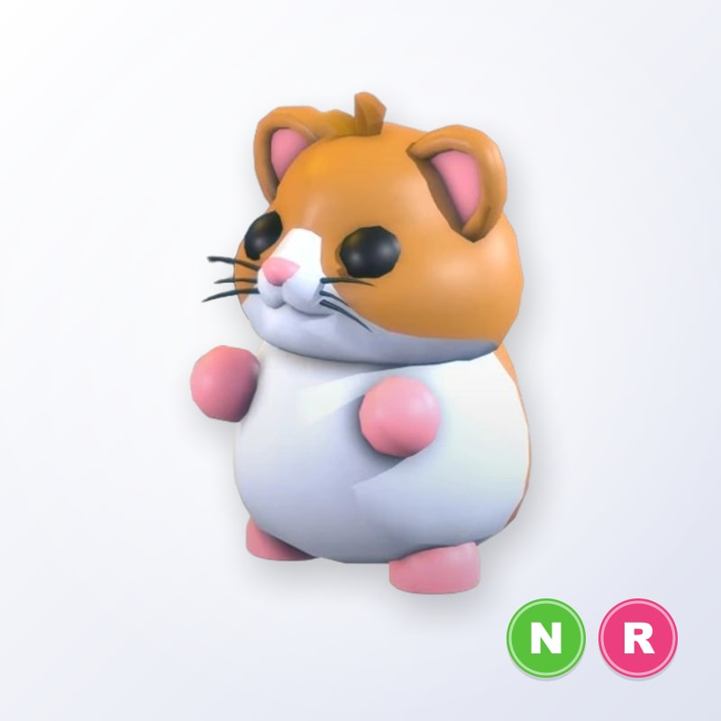 Hamster NR | Adopt Me