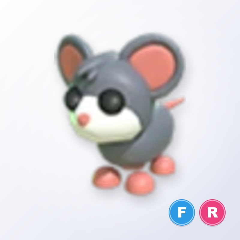 Mouse FR | Adopt Me