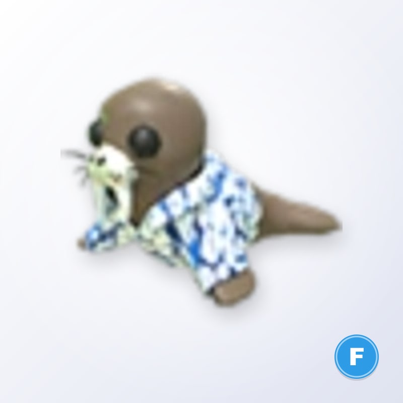 Summer Walrus F | Adopt Me