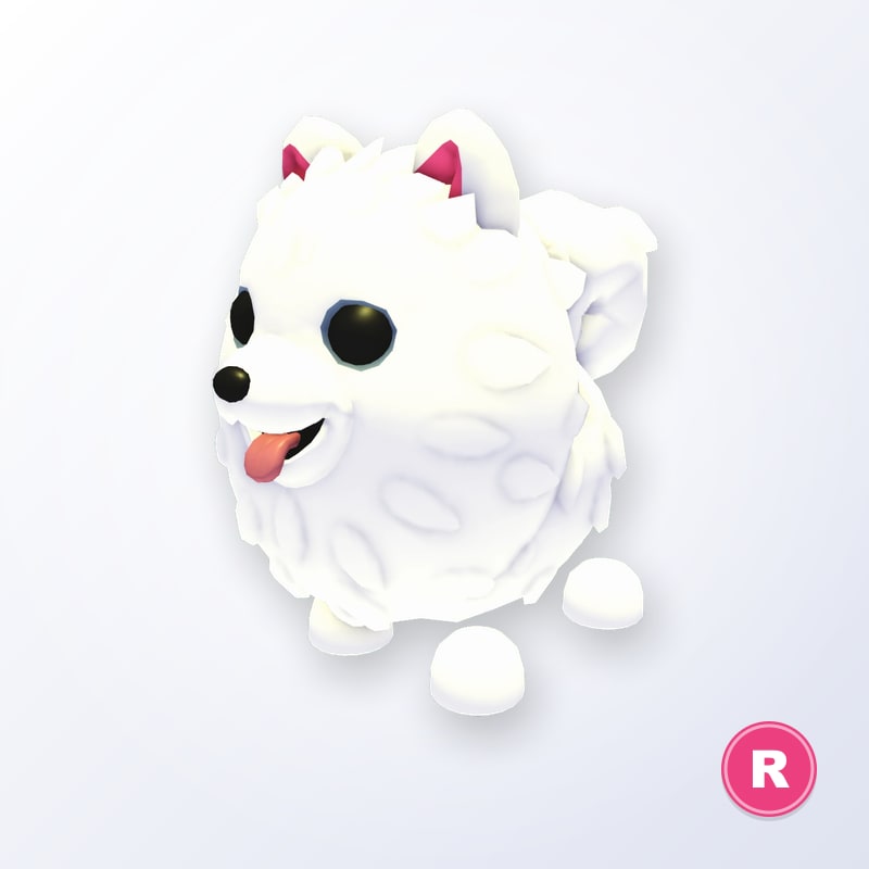 Samoyed R | Adopt Me