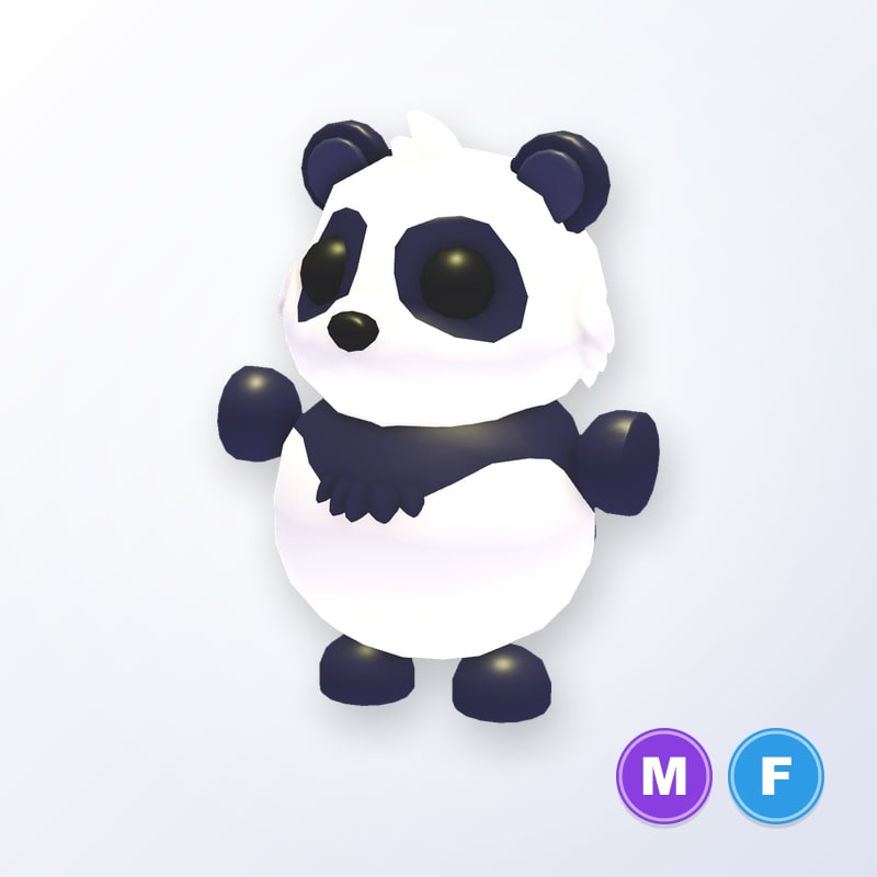 Giant Panda MF | Adopt Me