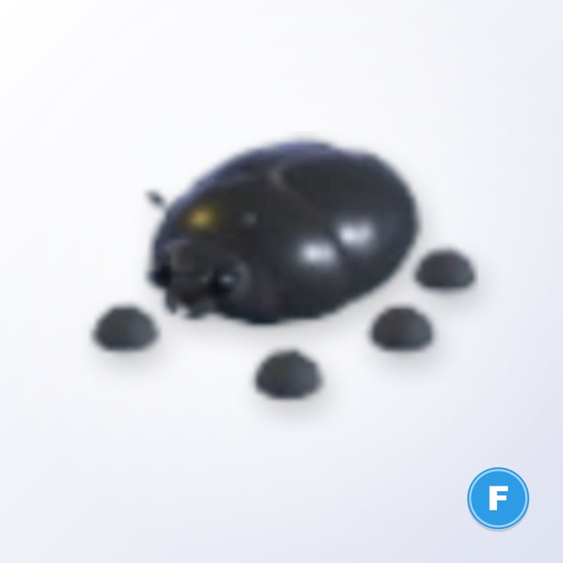 Giant Black Scarab F | Adopt Me