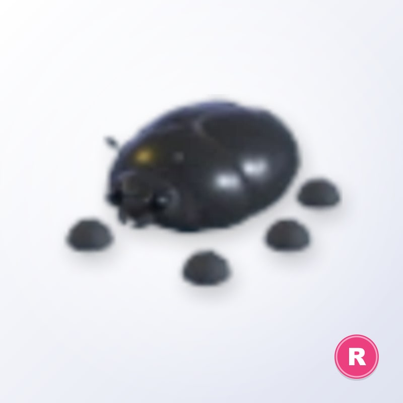 Giant Black Scarab R | Adopt Me