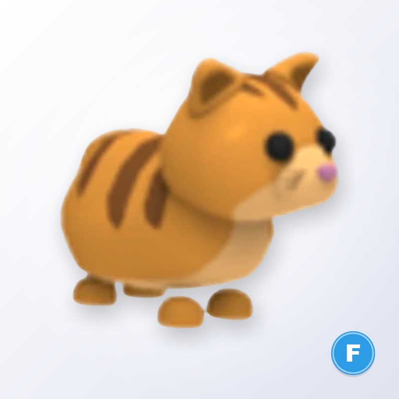 Ginger Cat F | Adopt Me
