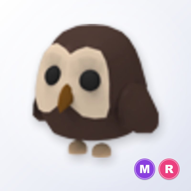 Owl MR | Adopt Me