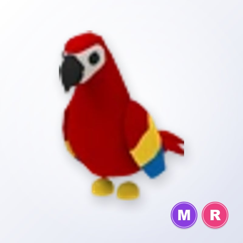 Parrot MR | Adopt Me