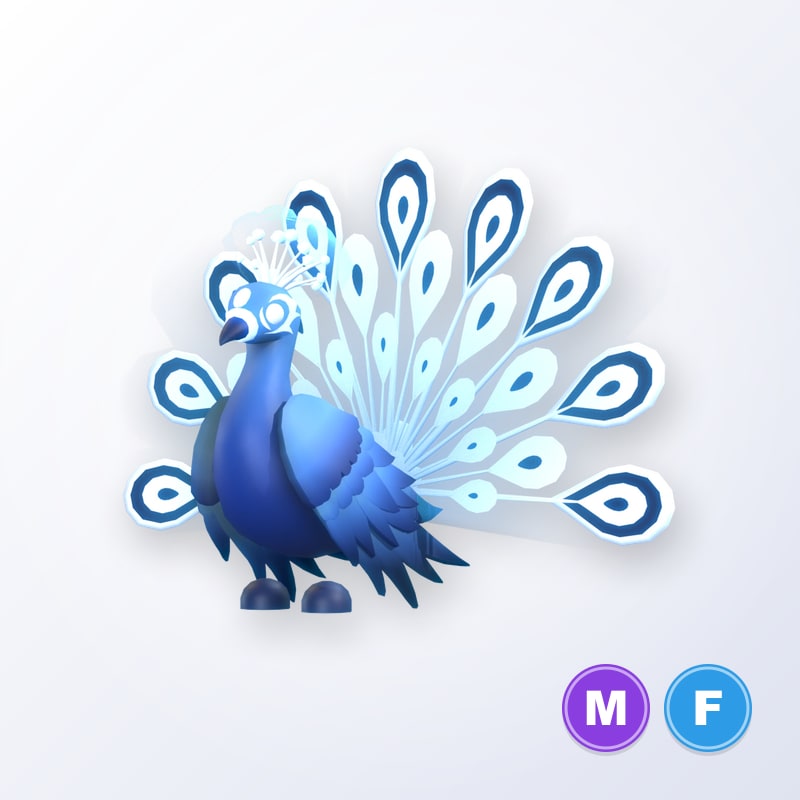 Moonbeam Peacock MF | Adopt Me