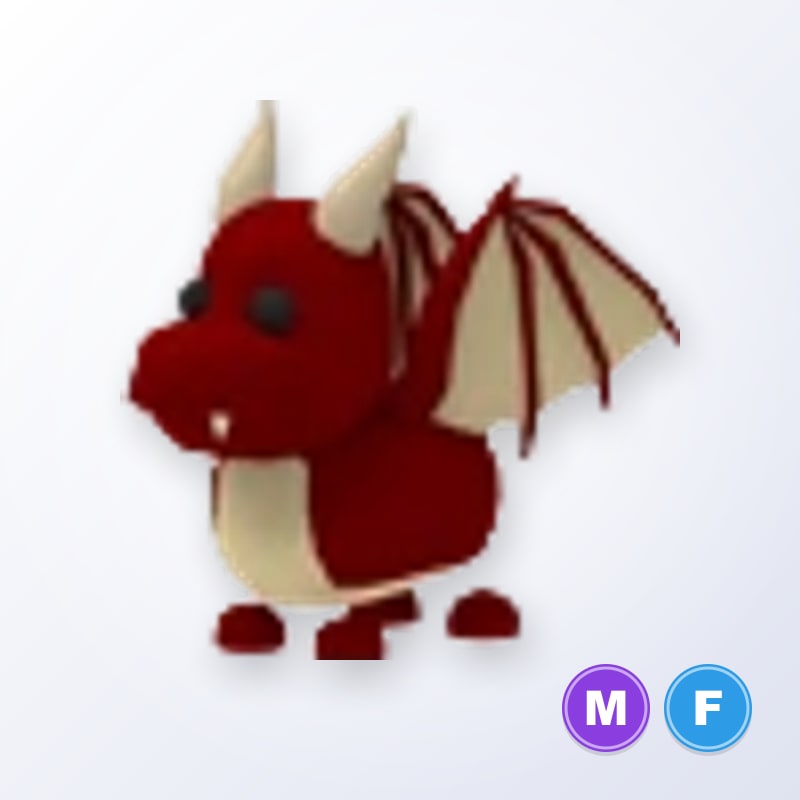 Dragon MF | Adopt Me