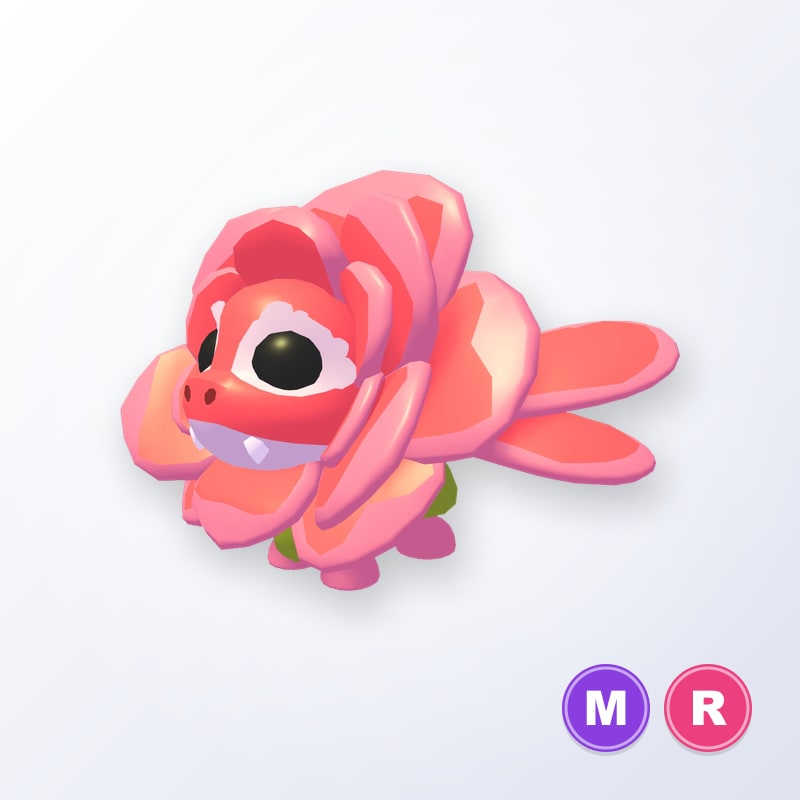 Rose Dragon MR | Adopt Me