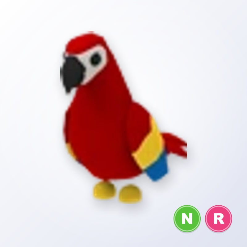 Parrot NR | Adopt Me
