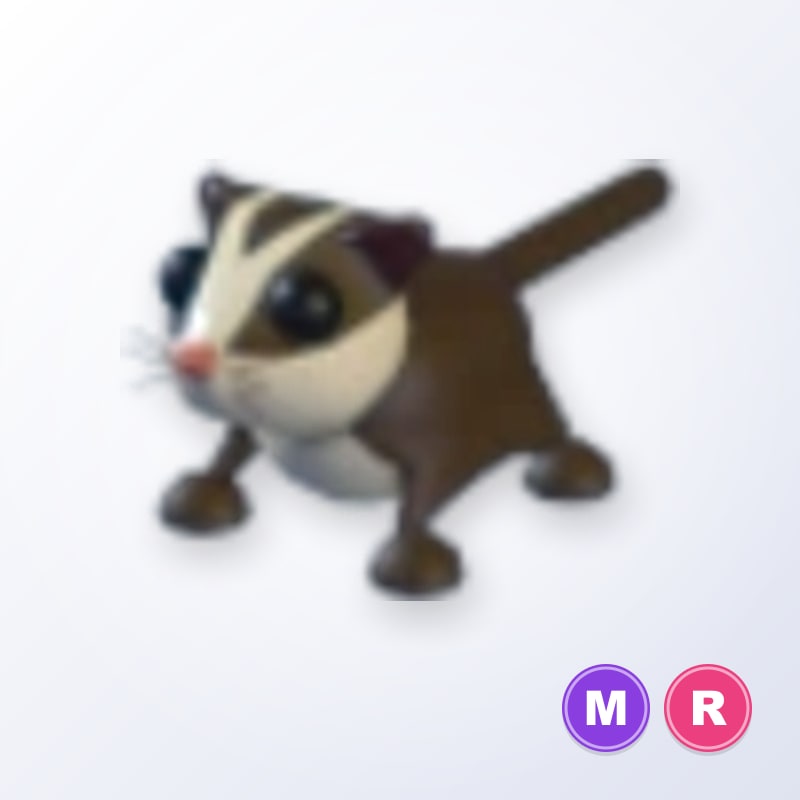 Sugar Glider MR | Adopt Me
