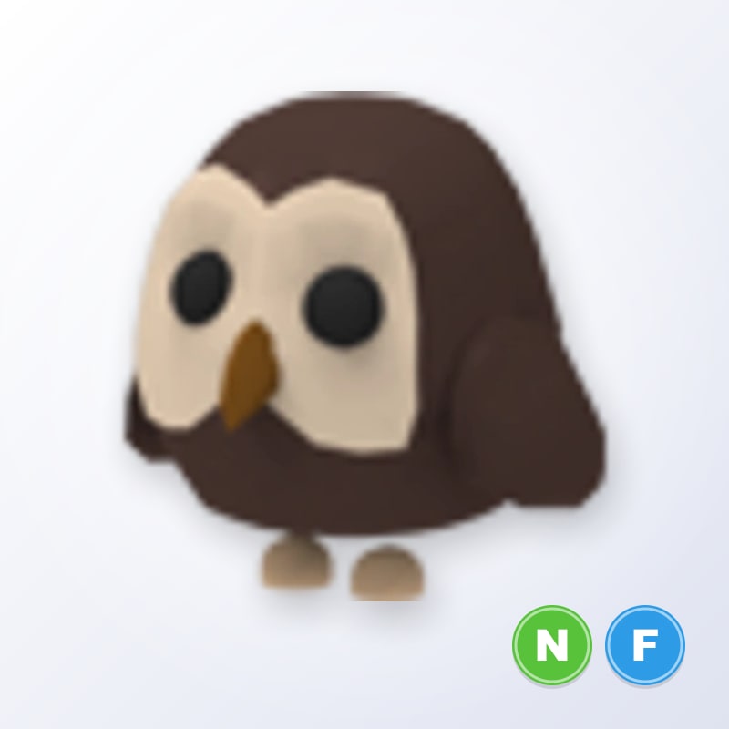 Owl NF | Adopt Me
