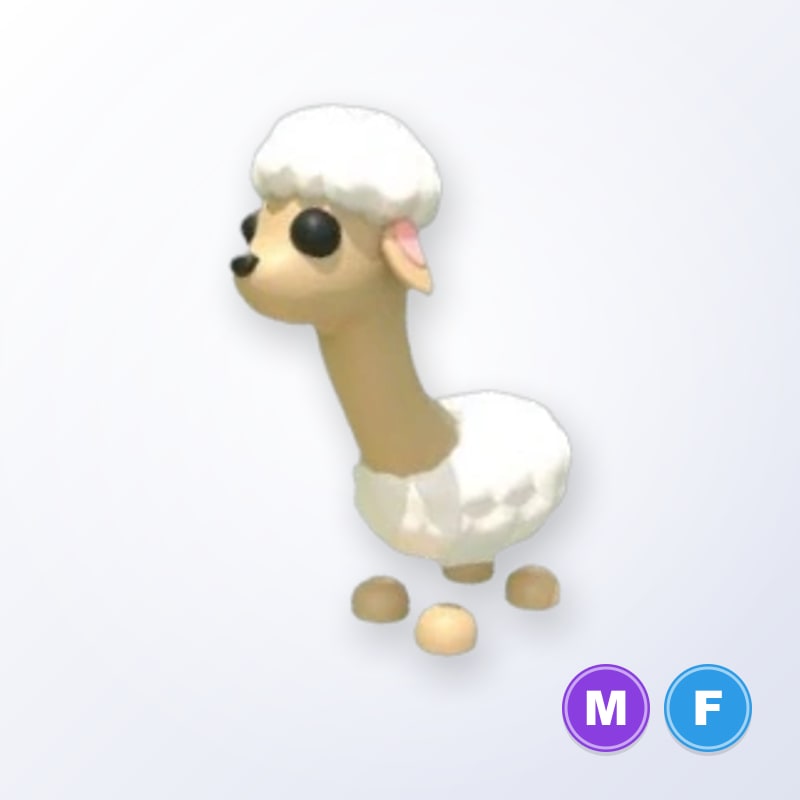 Sheeeeep MF | Adopt Me