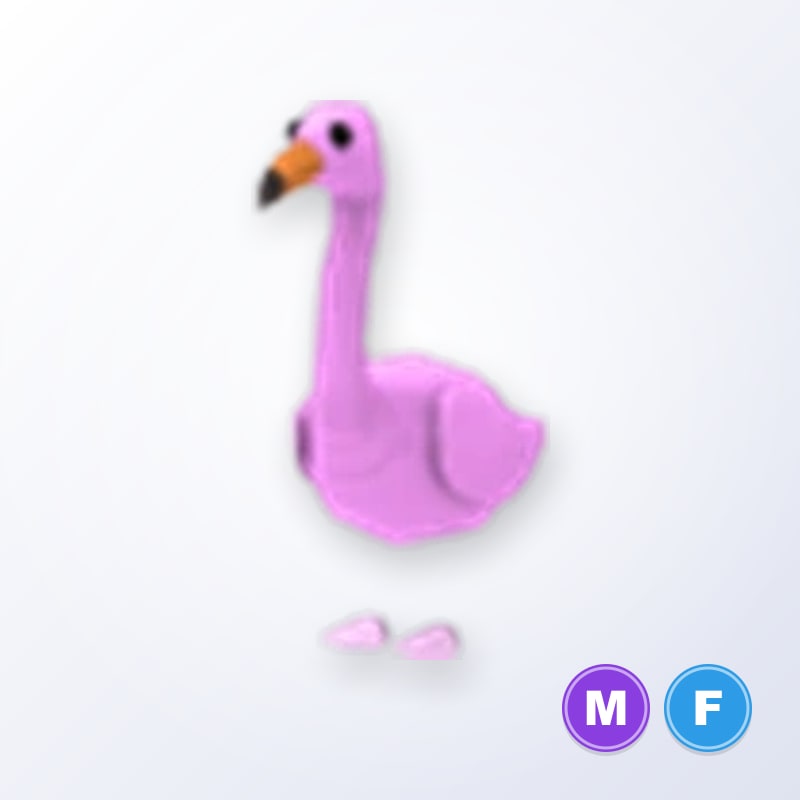 Flamingo MF | Adopt Me