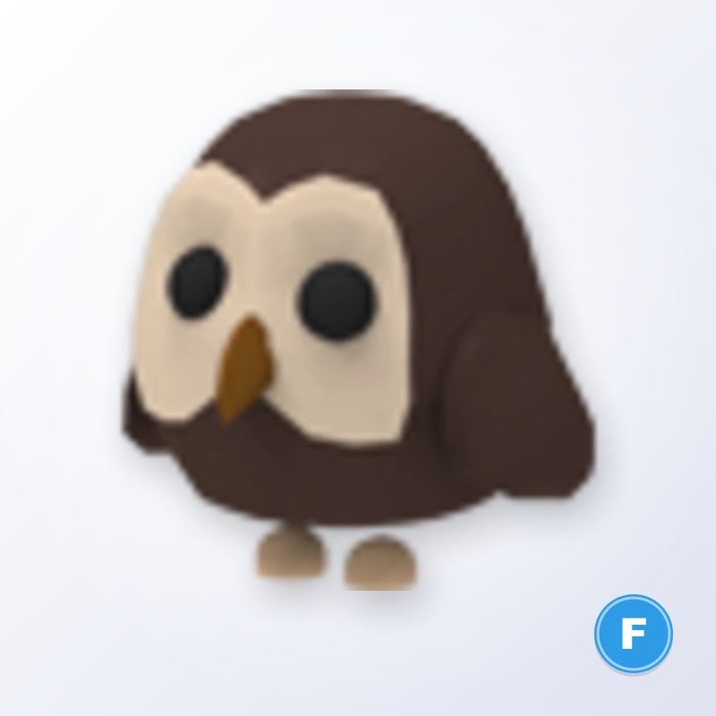 Owl F | Adopt Me