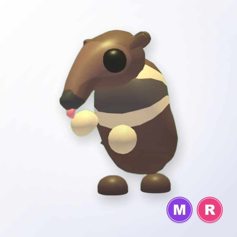 Giant Anteater MR | Adopt Me