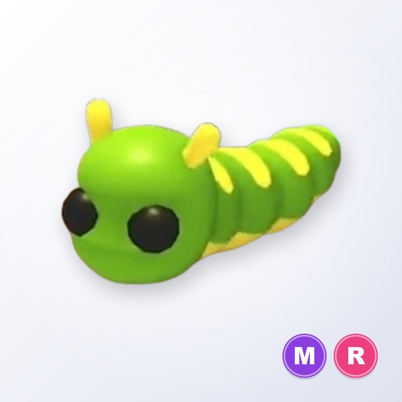 Caterpillar MR | Adopt Me