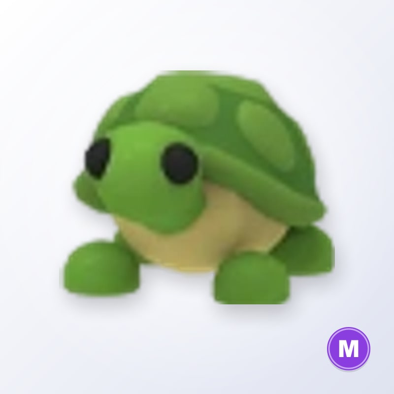 Turtle M | Adopt Me