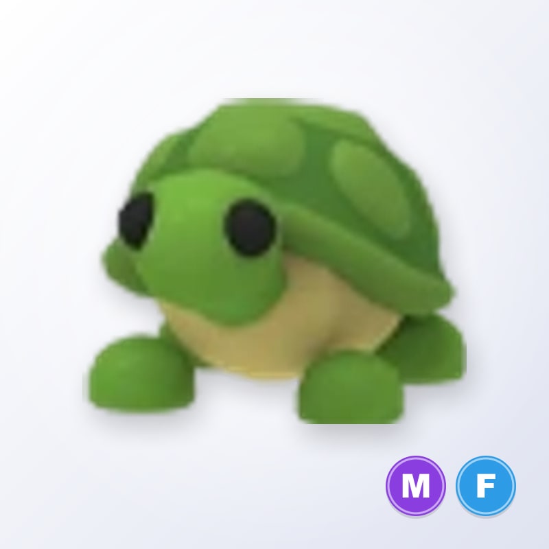 Turtle MF | Adopt Me