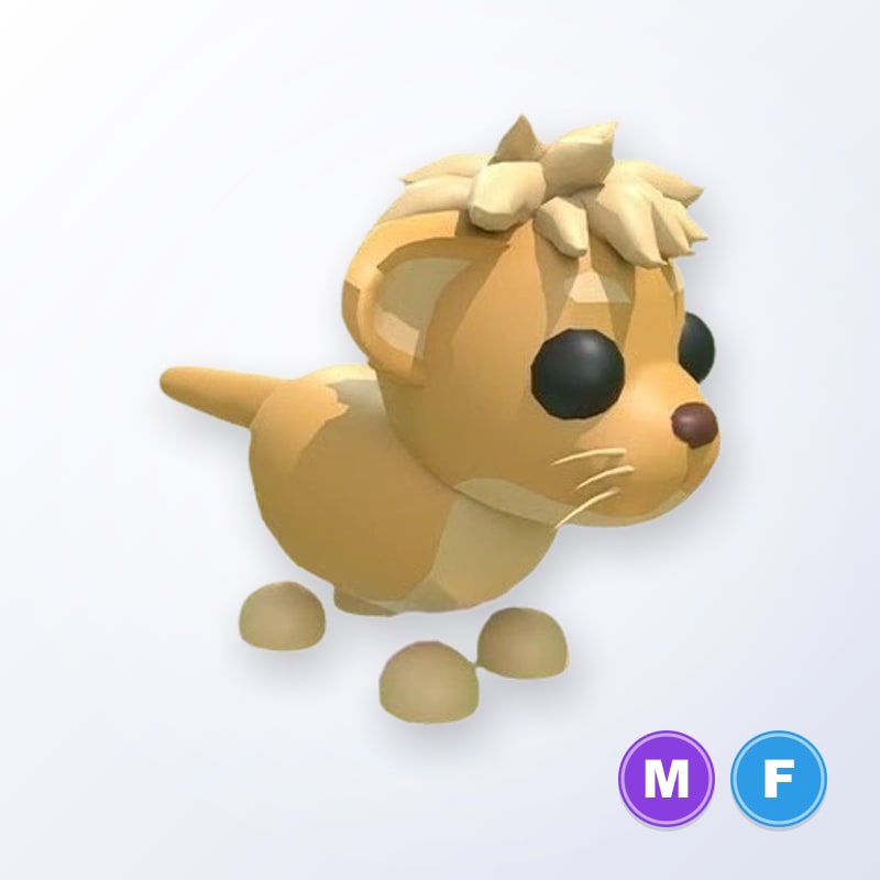 Lion Cub MF | Adopt Me