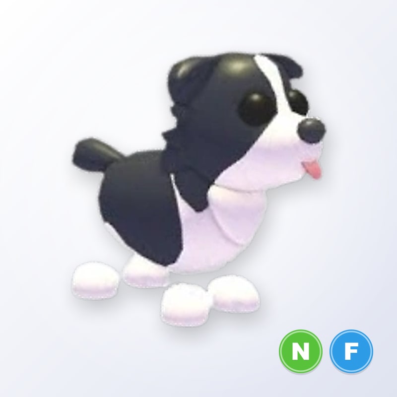 Border Collie NF | Adopt Me