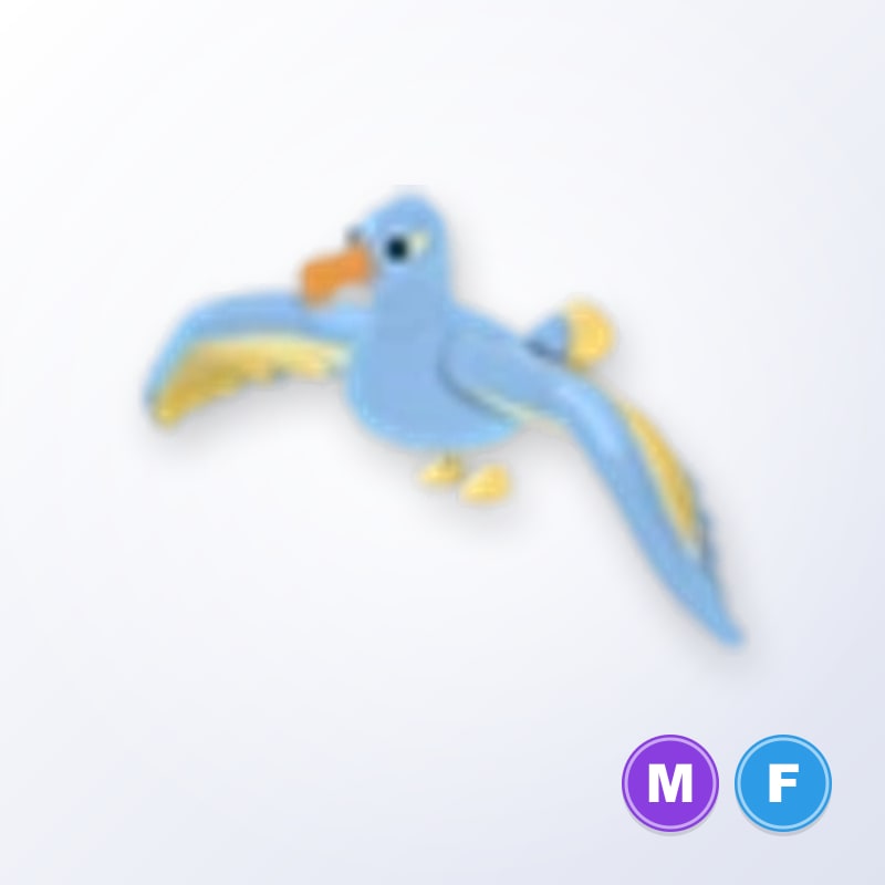 Diamond Albatross MF | Adopt Me