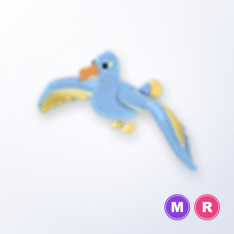 Diamond Albatross MR | Adopt Me