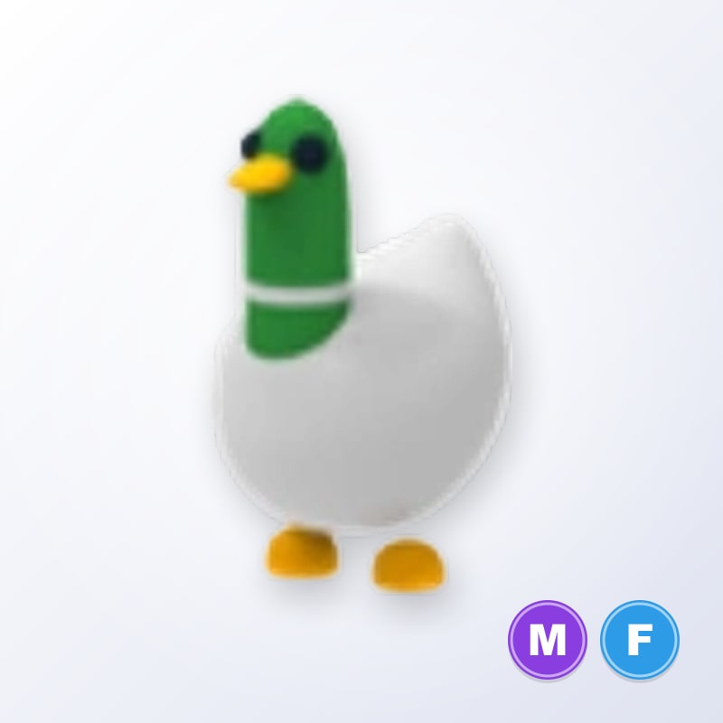 Silly Duck MF | Adopt Me