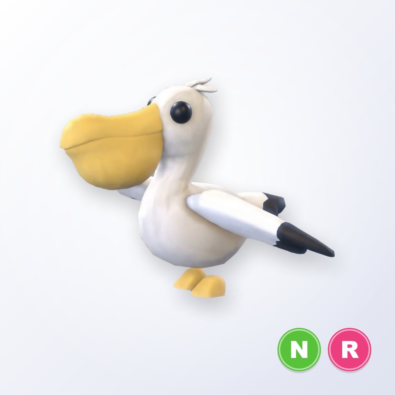 Pelican NR | Adopt Me