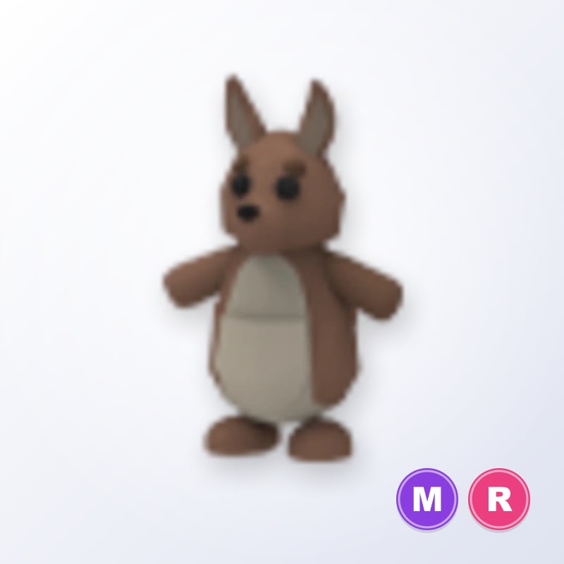Kangaroo MR | Adopt Me