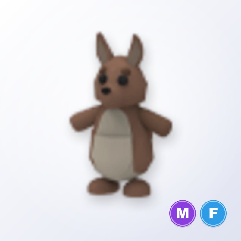 Kangaroo MF | Adopt Me