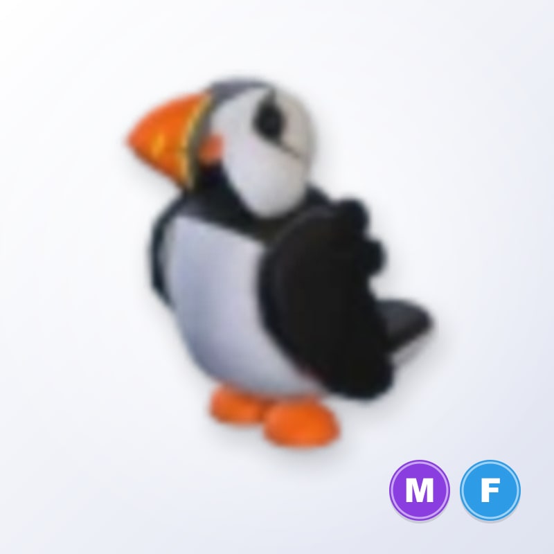 Puffin MF | Adopt Me