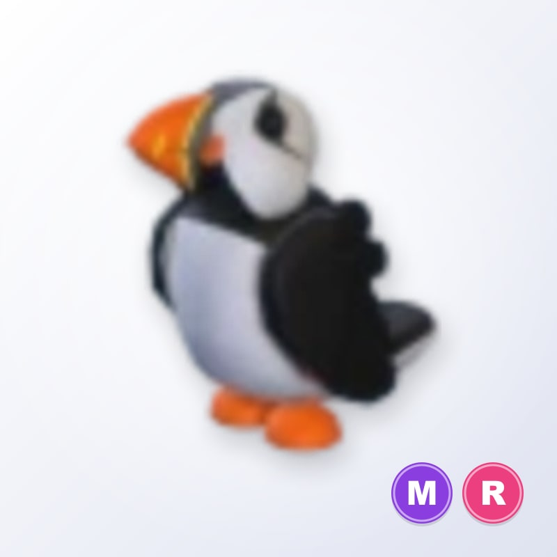 Puffin MR | Adopt Me