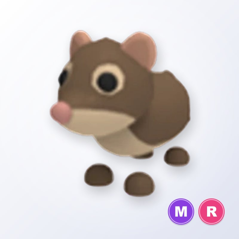 Shrew MR | Adopt Me