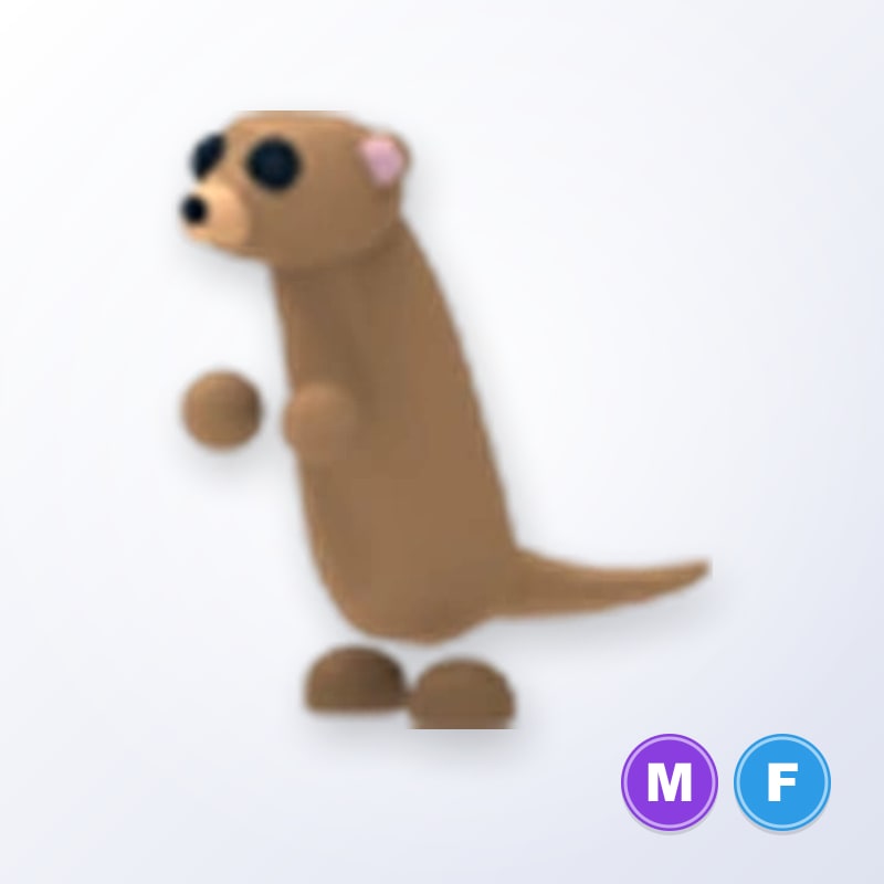 Meerkat MF | Adopt Me