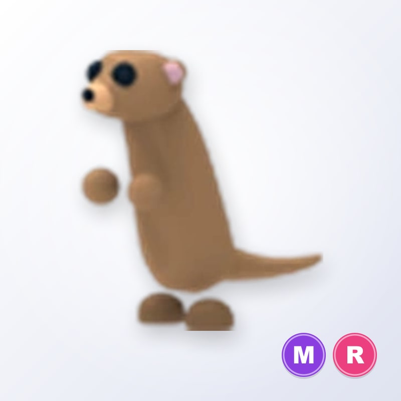 Meerkat MR | Adopt Me