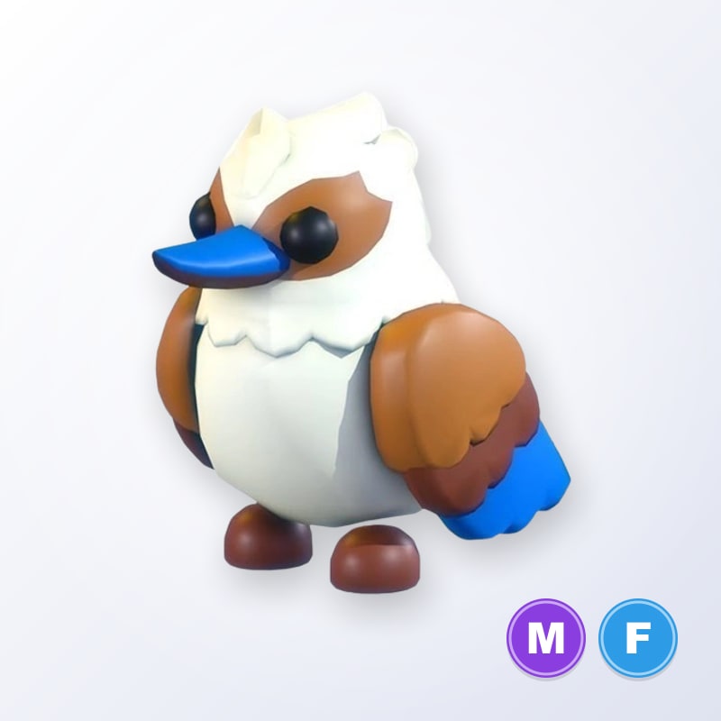 Kookaburra MF | Adopt Me
