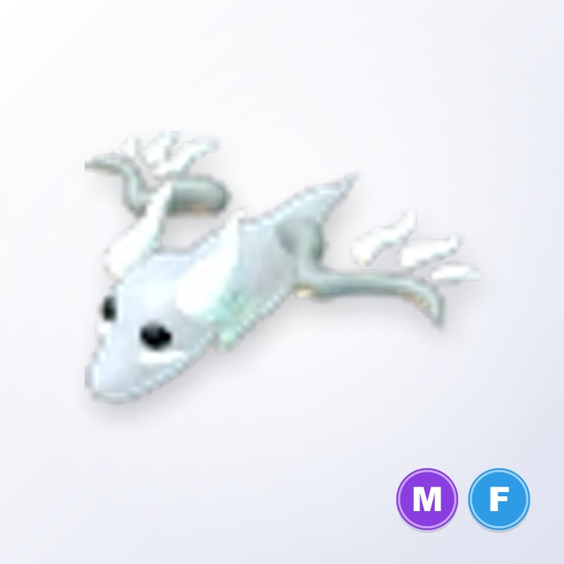 Halloween White Ghost Dragon MF | Adopt Me