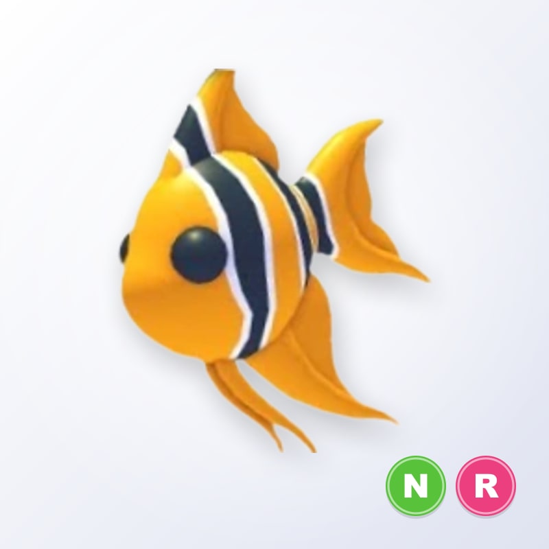 Angelfish NR | Adopt Me