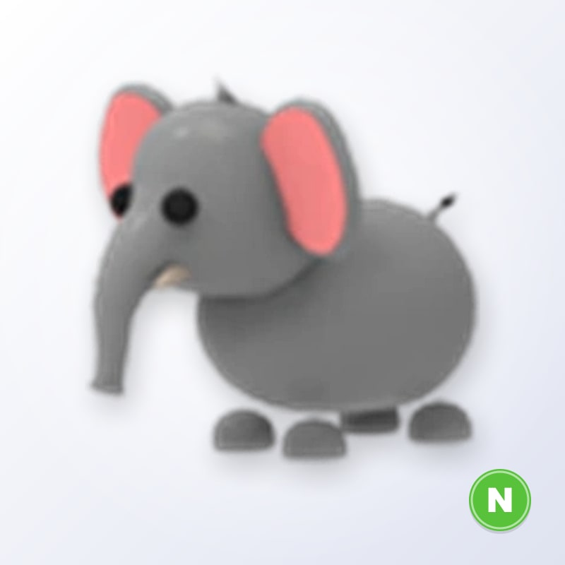 Elephant N | Adopt Me