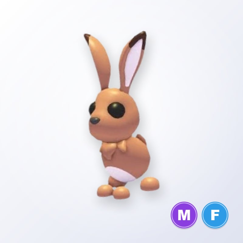 Hare MF | Adopt Me