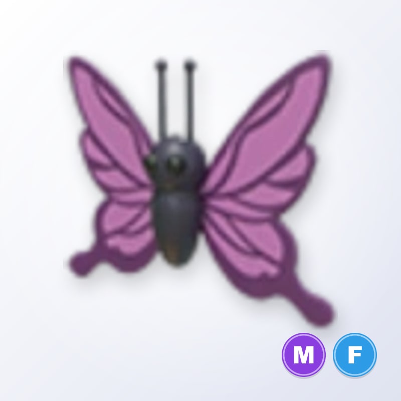 Purple Butterfly MF | Adopt Me
