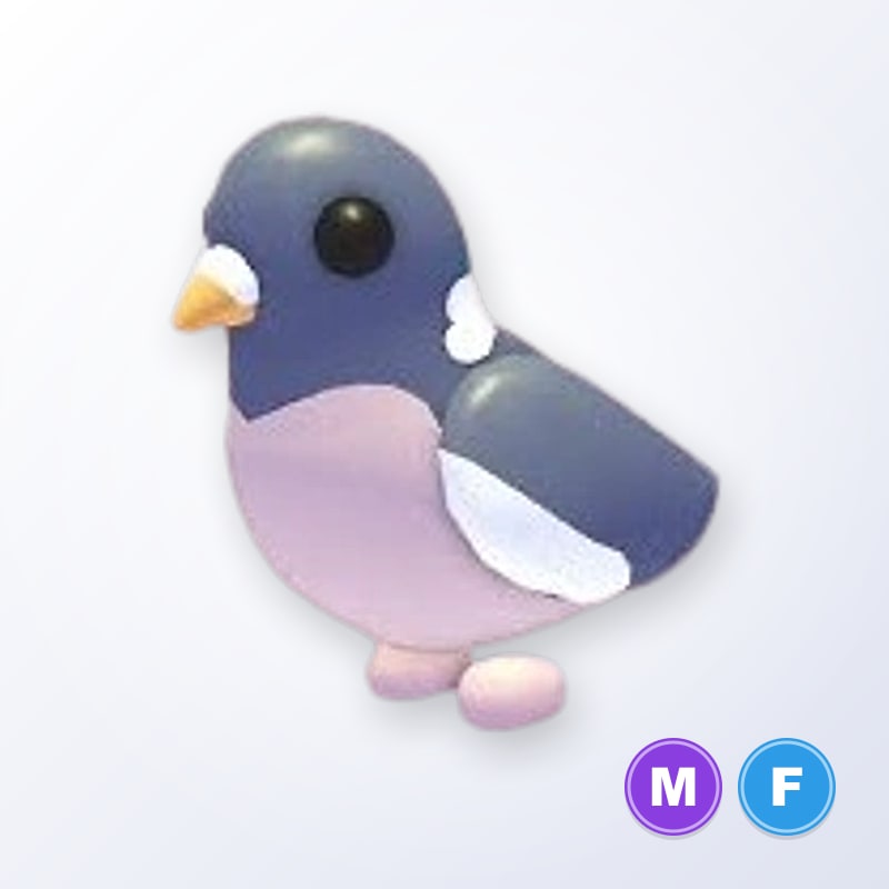 Wood Pigeon MF | Adopt Me